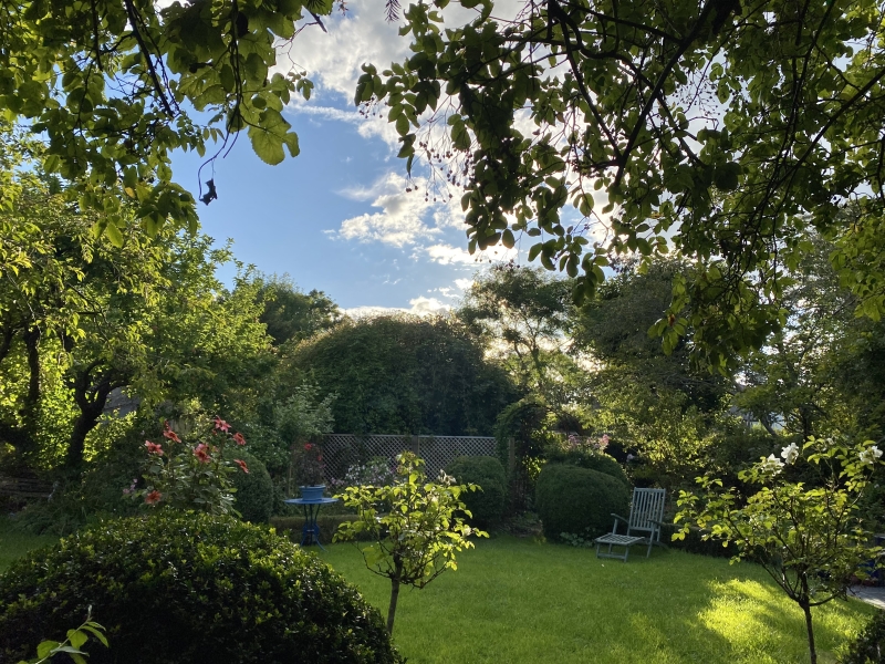 Meadow Cottage